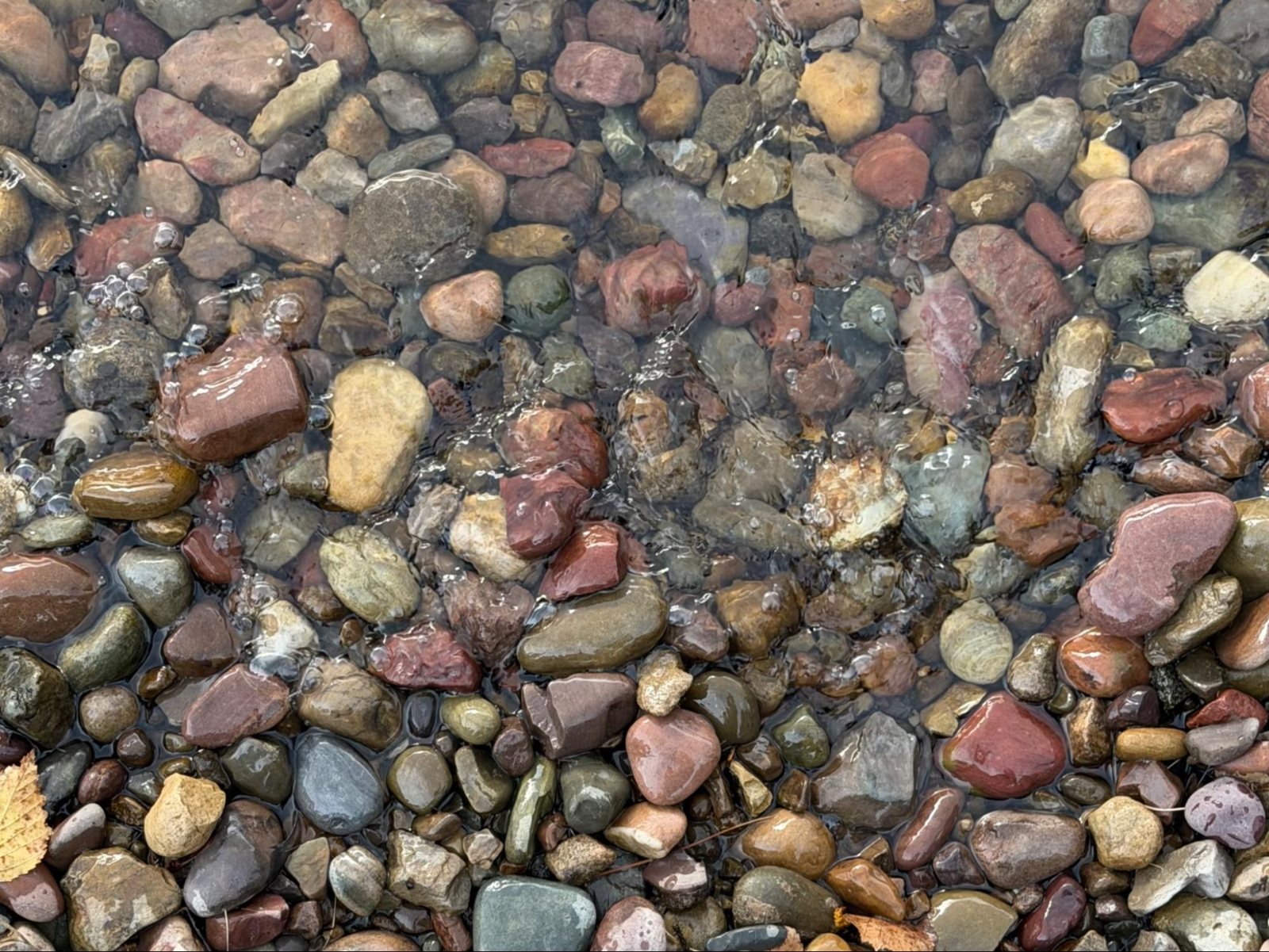 Colorful stones visible through the clear water of Swan Lake, Montana